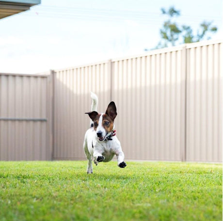 Gramline Fencing