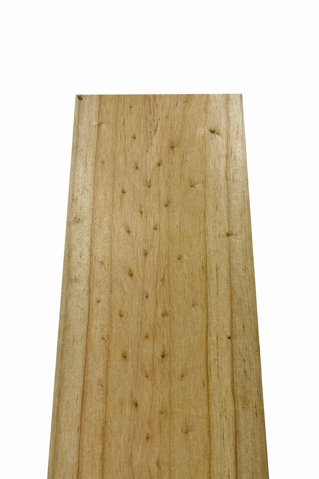 Paling - Treated Pine 100 1500
