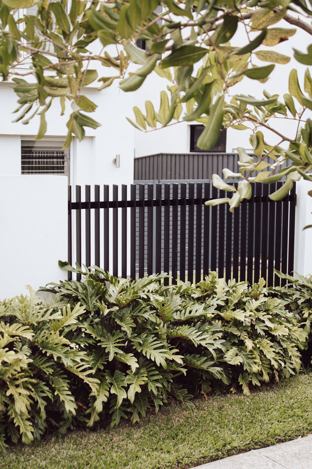 Blade Fencing Panel 50 x 10 50mm Gap 1200 x 2390