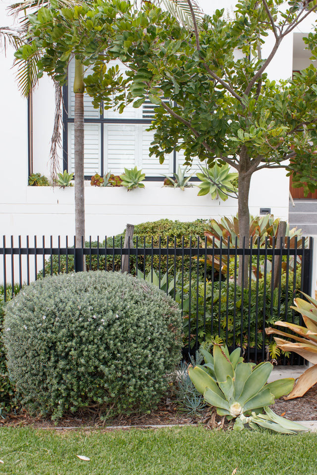 Blade Fencing Panel 50 x 10 50mm Gap 1200 x 2390