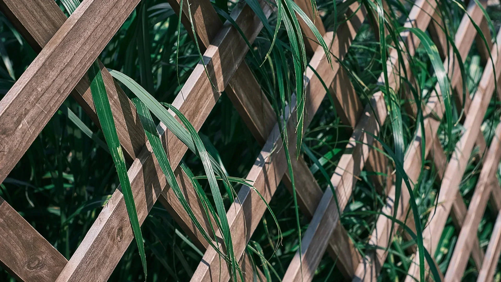 Sustainable Fencing Options for Eco-Conscious Sydney Builders