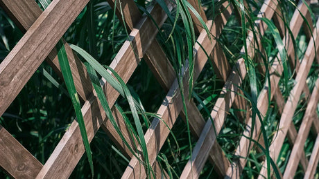 Sustainable Fencing Options for Eco-Conscious Sydney Builders