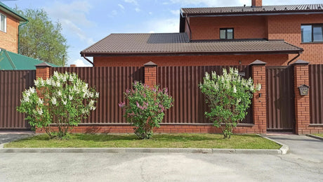 Before & After: How the Right Fence Transforms a Sydney Property