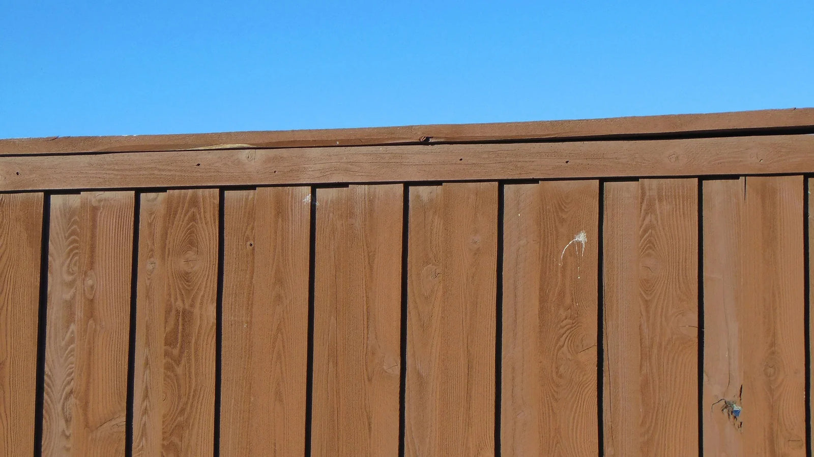 Timber Fencing in Sydney: Classic Appeal with Modern Performance