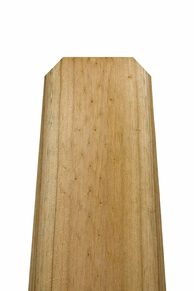 Paling - Treated Pine 100 2400 Chipped
