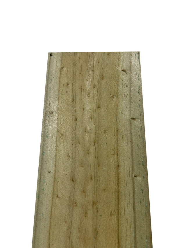 Paling - Treated Pine 100 1500