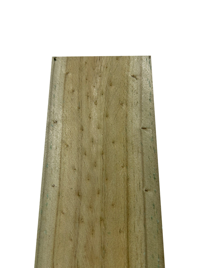 Paling - Treated Pine 100 2100